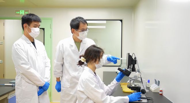 一把合成生物“分子手术刀”再造千亿秸秆新产业(图2)