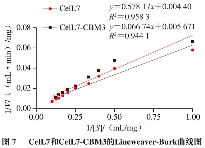 《食品科学》：福州大学严芬副教授等：海洋来源纤维素酶CelL7的异源表达、酶学表征及生物膜清除作用(图6)