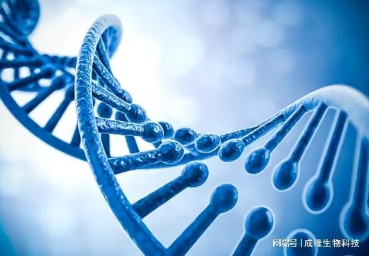 工业酶制剂的创新革命：从分子催化到绿色制造的未来蓝图(图3)