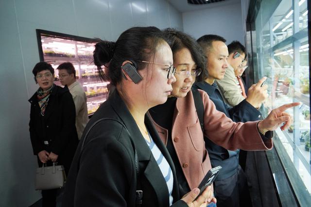 全国大咖云集温州文成！一根山药何以撬动10亿产业(图3)