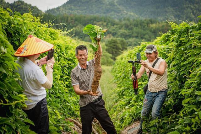 全国大咖云集温州文成！一根山药何以撬动10亿产业(图5)