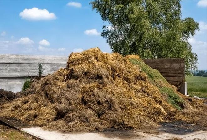 打破欧美酶制剂垄断！秸秆还田年年犯愁分离技术创造千亿产值(图5)