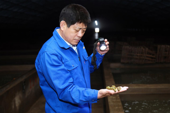 讲述山东海洋故事——孙永军：让海产品住上“立体楼”把论文写在大海上(图2)