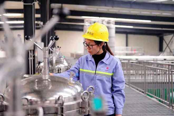 重庆江津德感工业园：“小巨人”迸发大能量(图2)