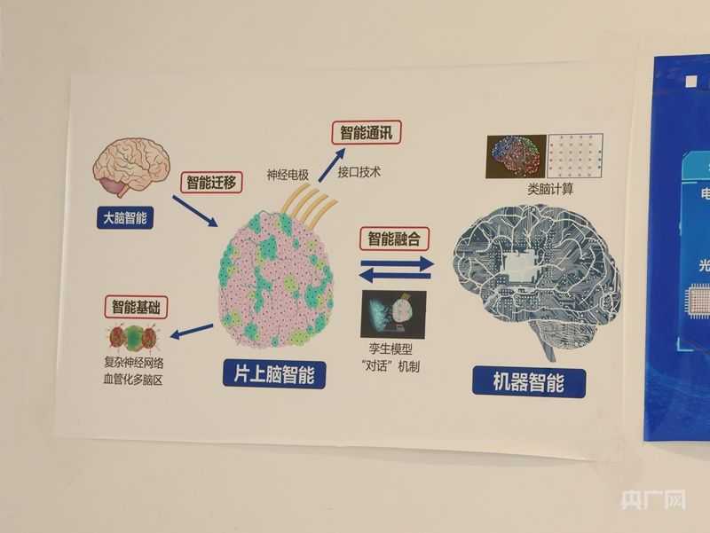 央广网:青春华章丨高校向“新”而行 微光成炬为新质生产力“蓄势赋能”(图2)