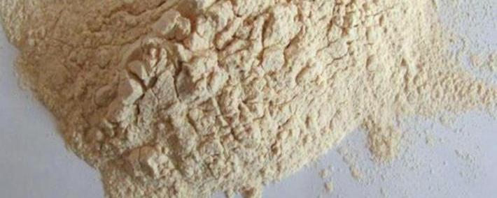 2025-2030年中国生物基材料行业：聚焦PLA与PHA掘金高增长潜力赛道