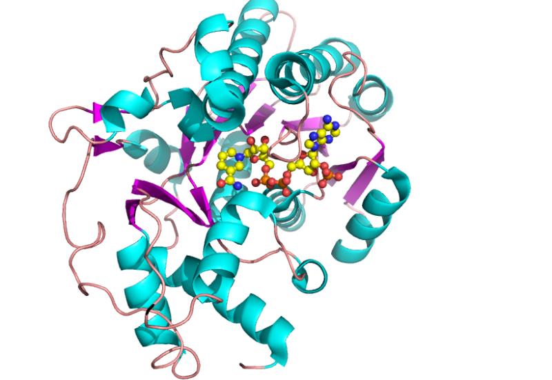 从“试剂为主”到“仪器+服务” IVD企业的全产业链布局如何化解“集采降价”的利润挤压？