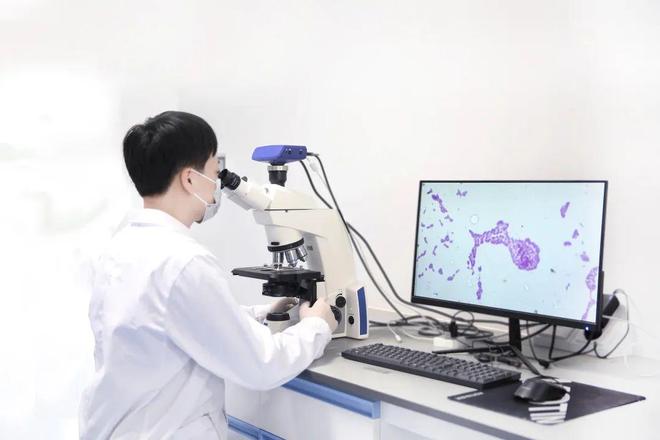 小记者探科技 探秘生命密码:走进生物实验室感受“神奇微生物”的独特魅力(图6)
