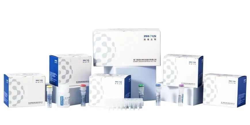 深海寻“酶”!厦门火炬高新区企业攻克分子诊断核心技术(图3)