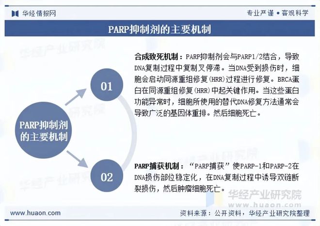 2025年中国PARP抑制剂行业现状及展望(附市场规模、产业链及重点企业)「图」(图1)