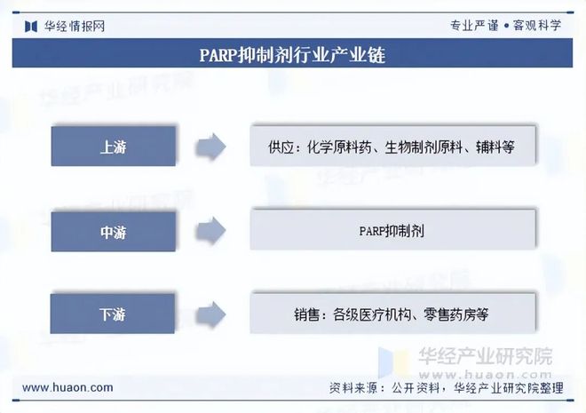2025年中国PARP抑制剂行业现状及展望(附市场规模、产业链及重点企业)「图」(图3)