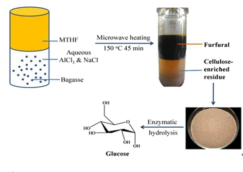 生物酶制剂龙头：这只龙头上市公司值得关注（20251219）