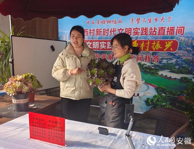 四个“Bian”字“宿”说皖北全面振兴(图3)