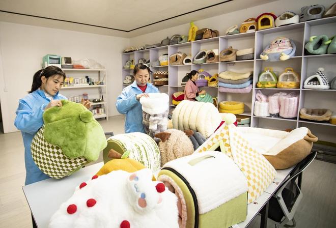 四个“Bian”字“宿”说皖北全面振兴(图6)