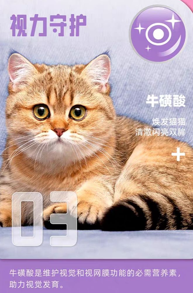 2025国产猫粮排名前十品牌你选对了吗？第一名实至名归(图3)