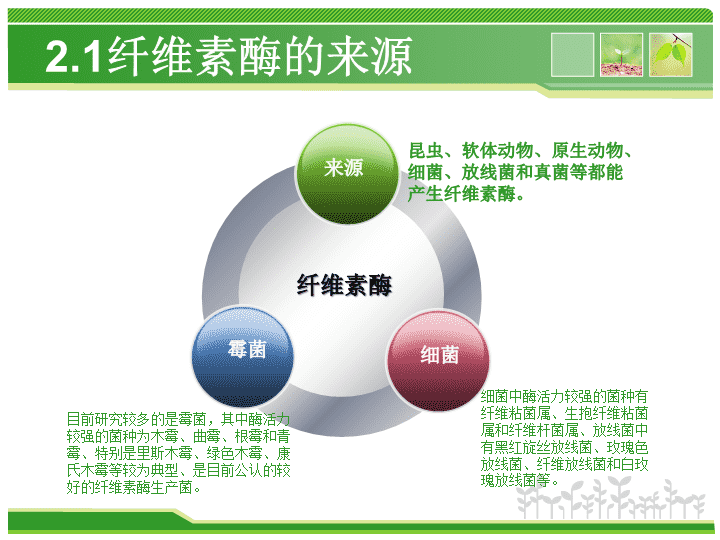 2026年素食食品产业现状及未来发展趋势分析