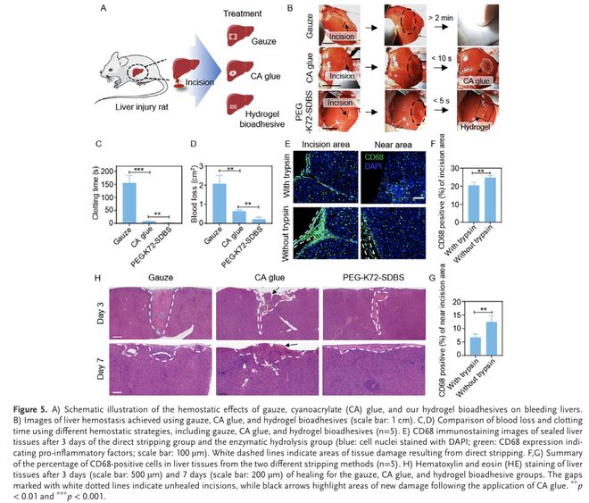 AdvMater:用于增强组织愈合的水凝胶黏合剂模块化设计(图5)