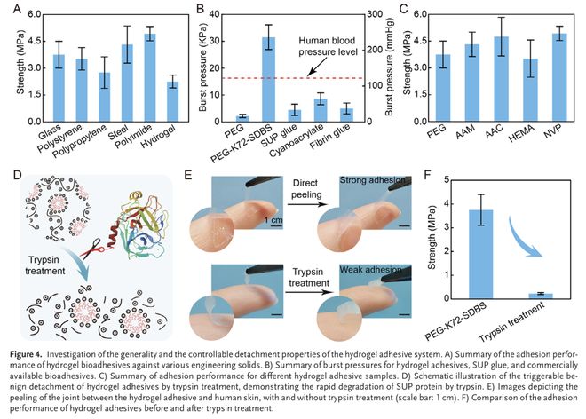 AdvMater:用于增强组织愈合的水凝胶黏合剂模块化设计(图4)