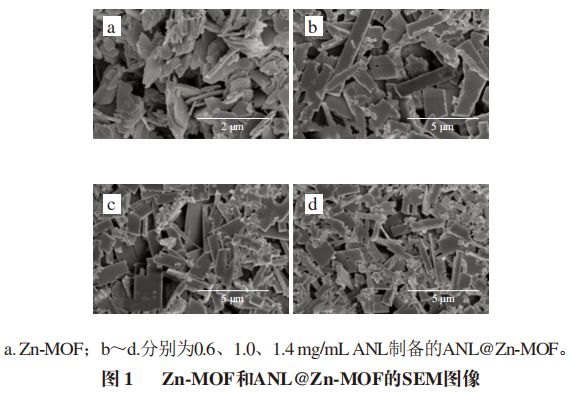 《食品科学》:西北农林科技大学袁春龙博士等:Zn-金属有机骨架固定脂肪酶及其对赭曲霉毒素A的高效降解(图2)