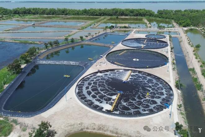 酶在水产养殖中有大作用！揭露三大酶在养殖中的妙用！(图1)