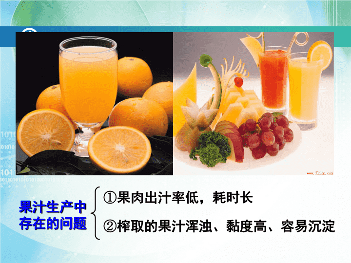 果胶酶的作用pptx