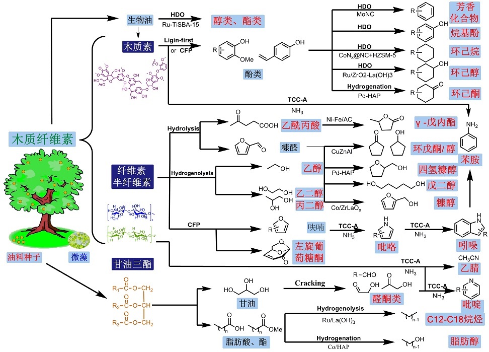 科技向新向善产业共生共赢——郭恒华领航华恒生物勇攀全球生物制造新高峰
