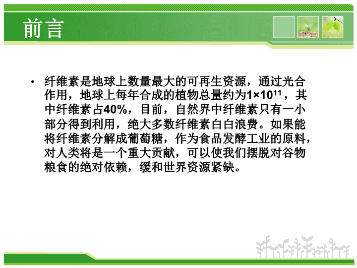 酵素饮料市场深度调研:技术革新驱动消费分层与场景延伸