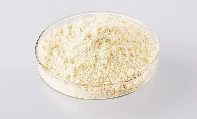 优秀！发生在鹤山的这个实践案例入选省级名单