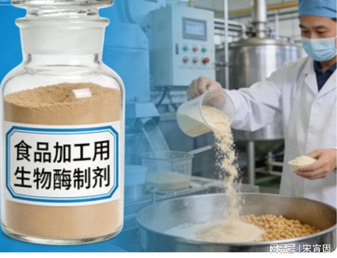 可以尝到的酶好——生物酶制剂在食品工业的应用(图1)