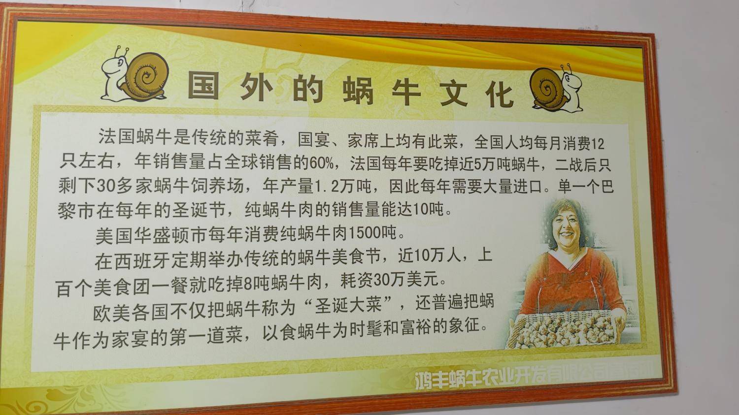 黄河千年清一回 让小小蜗牛变金牛震动地球(图6)