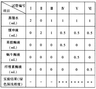 大额牛胃肠道微生物组高效降解木质纤维素的宏基因组与宏转录组学解析