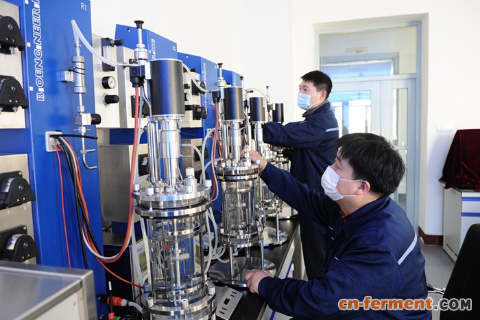 纤维素酶的生产方法介绍