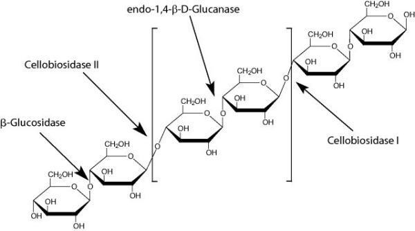 北京理工大学学术网