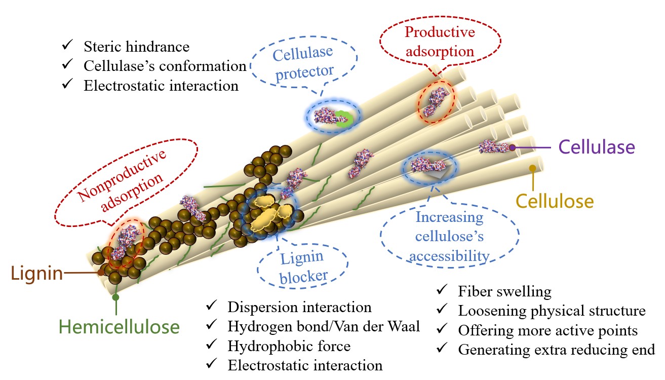 生物质材料产业发展任重道远