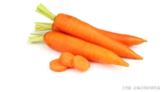 果蔬质构分析仪胡萝卜穿刺与剪切强度测定：原理、方法及影响因素(图2)