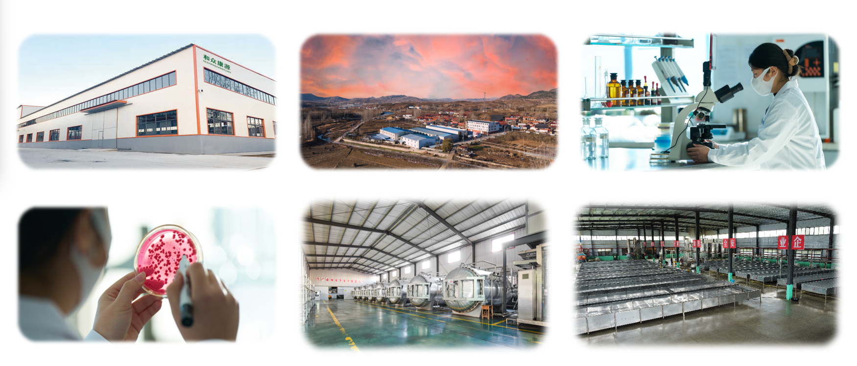 2026年淄博米曲霉发酵复合菌厂家盘点：五家实力企业一览(图2)