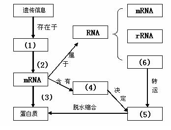 上海格林艾弗能源发展有限公司成立注册资本500万人民币