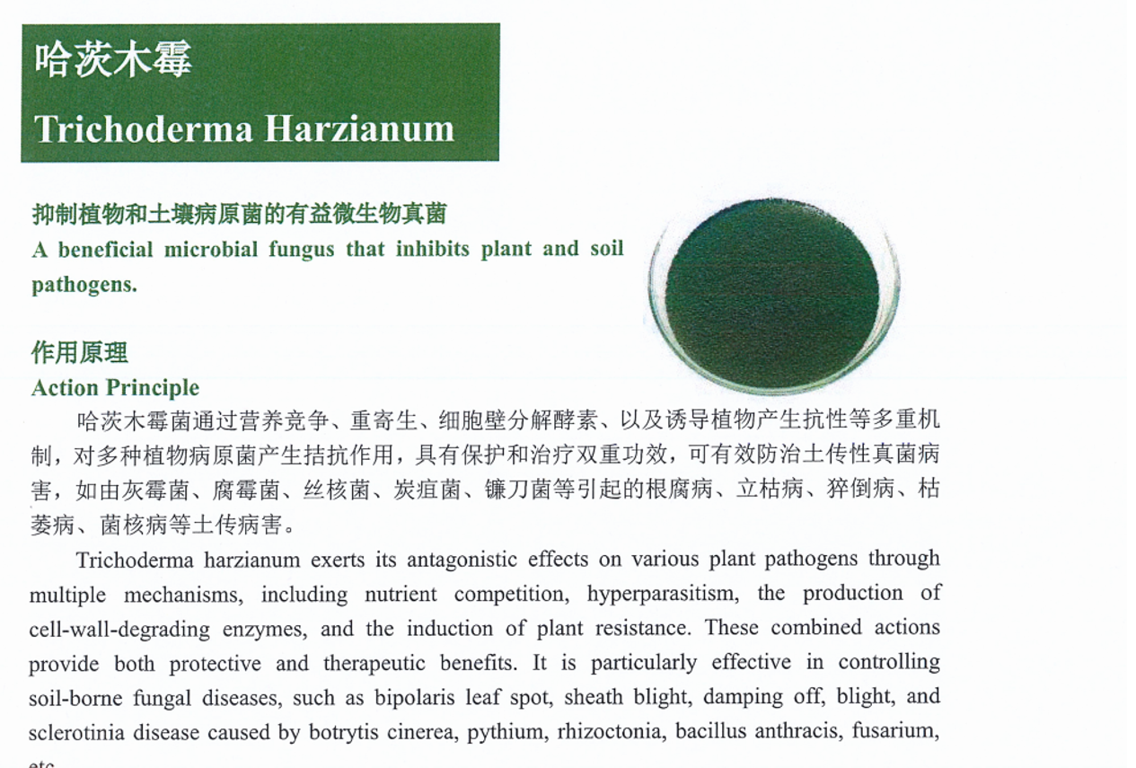 2026年行业前瞻：解析山东米曲霉发酵复合菌技术实力派(图1)