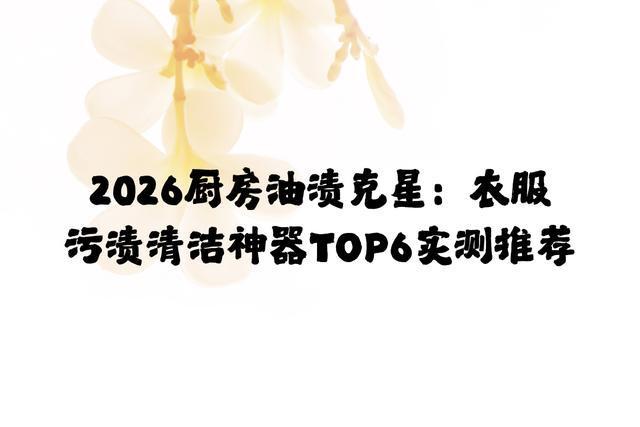 2026厨房油渍克星：衣服污渍清洁神器TOP6实测推荐(图1)