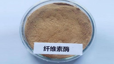 蜗牛酶有哪些研究价值？不妨来看看