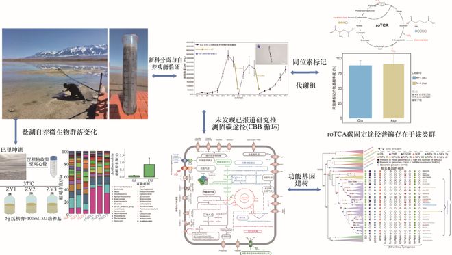 新书推荐丨《吐哈盆地抗逆微生物资源多样性与应用潜力评价(图3)