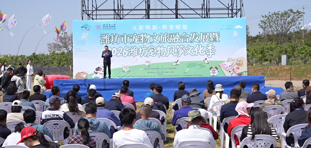 2026潍坊宠物风筝文化季盛大启幕共赴人宠共乐文旅新篇章(图2)