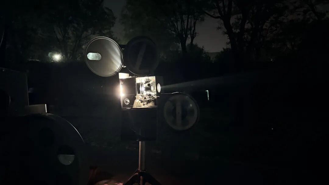 2026潍坊宠物风筝文化季盛大启幕共赴人宠共乐文旅新篇章(图5)