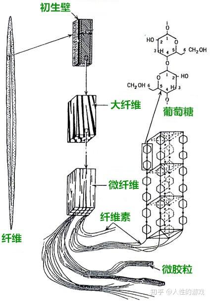 立夏节气湖南多地突破30℃！明晚省内有降水过程并伴强对流
