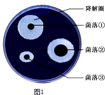 百余家合成生物企业集聚昌平中试平台年底投用补齐“关键一环”