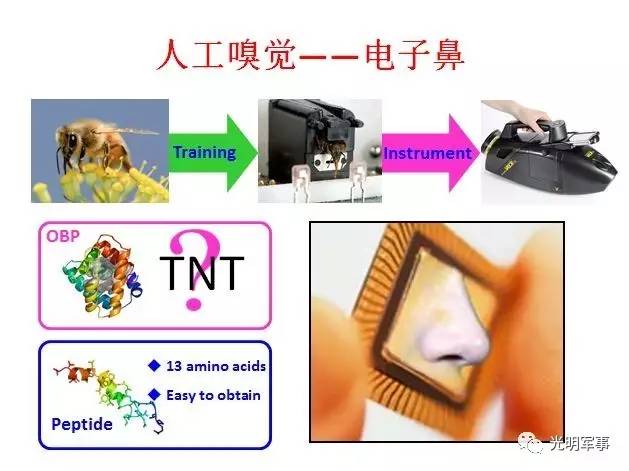 公司旅游、公司团建、公司年会、企业家庭日、奖励旅游找专业服务商?2026全国会奖市场前沿推荐