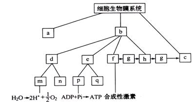 未来产业抢占新赛道!企业“抱团”创新→