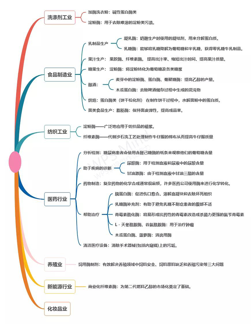 科技前沿-观察者网
