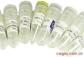 纤维素酶R-10CellulaseOnozukeR-109012-54-8YAKULT10g