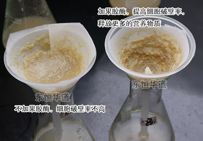 果胶酶（果胶甲脂酶复合酶Pectinase）(图6)